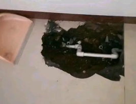 杜集卫生间测漏水多少钱